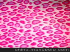 毛巾針紡織品供應(yīng)商、價格與批發(fā)市場全攻略